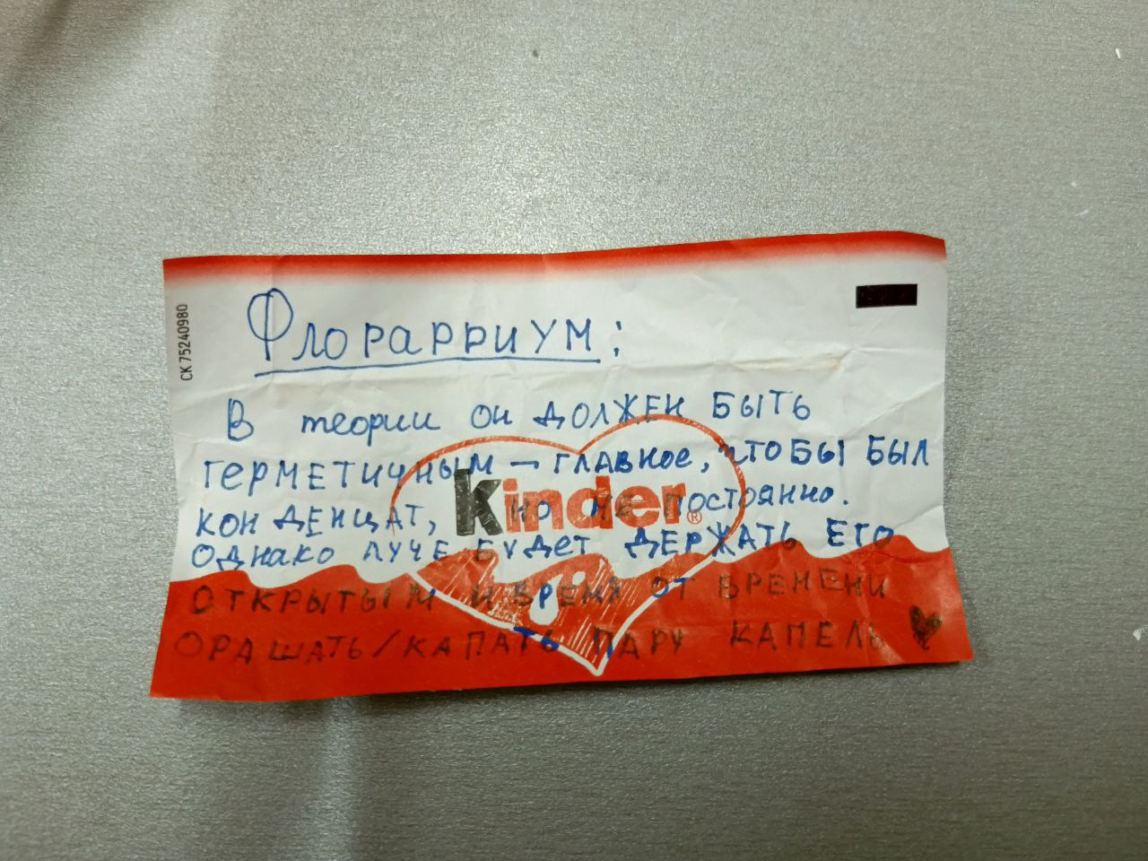 инструкция к флорарриуму.png